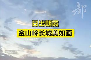 雷竞技苹果官方网站截图4